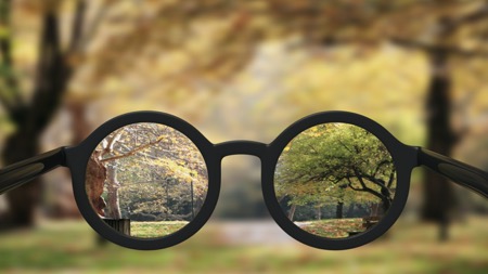 Round, thick, black, full rim eyeglasses focused on park in distance 